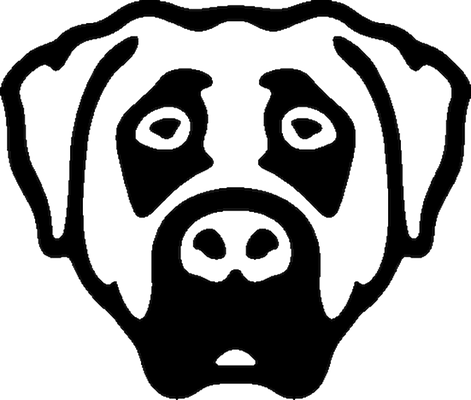 Victor Victor